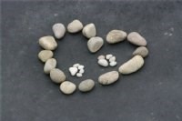 Greetings Card - Pawprints on my Heart