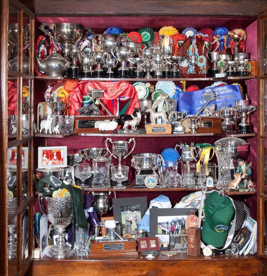 A Few Treasured Trophies