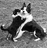 Bwlch Taff With His First Daughter Lyn