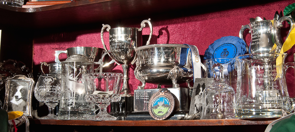 A few more treasured trophies