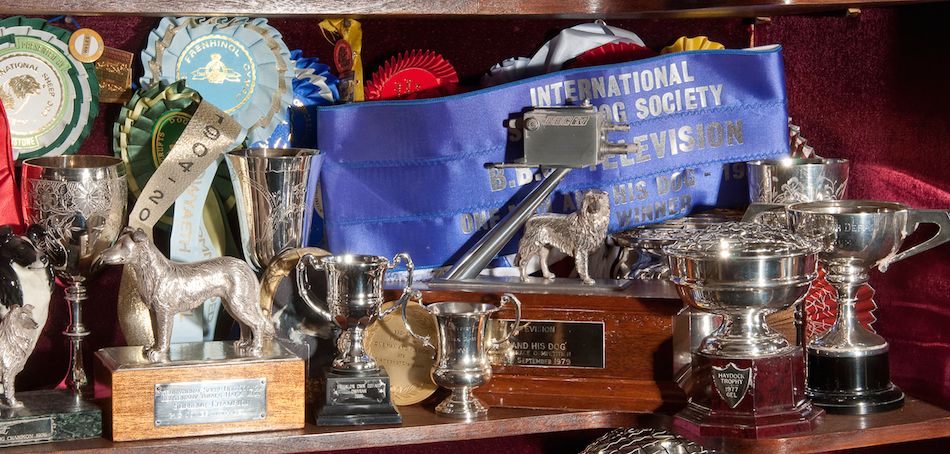 Trophies Blue Riband In Background Copy2