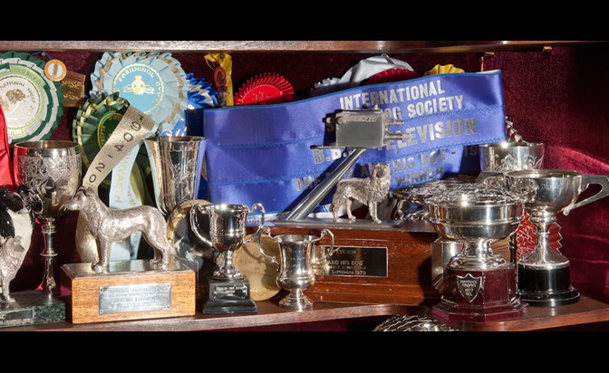 Trophies Blue Riband In Background Copy2
