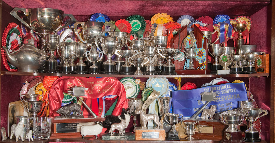 Top Two Shelves In Trophy Cabinet Copy2