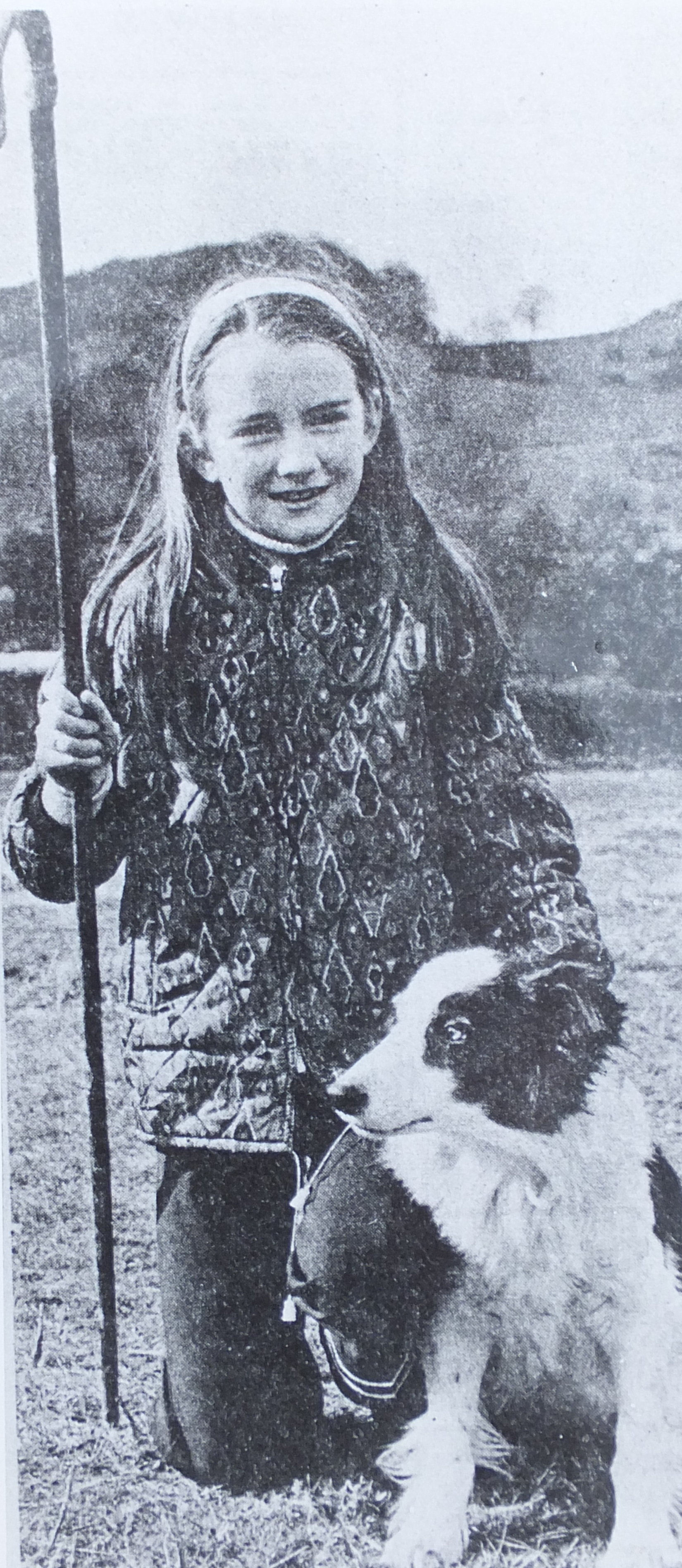 Ceri With Sheba Competing At Bodfari Sheepdog Trials